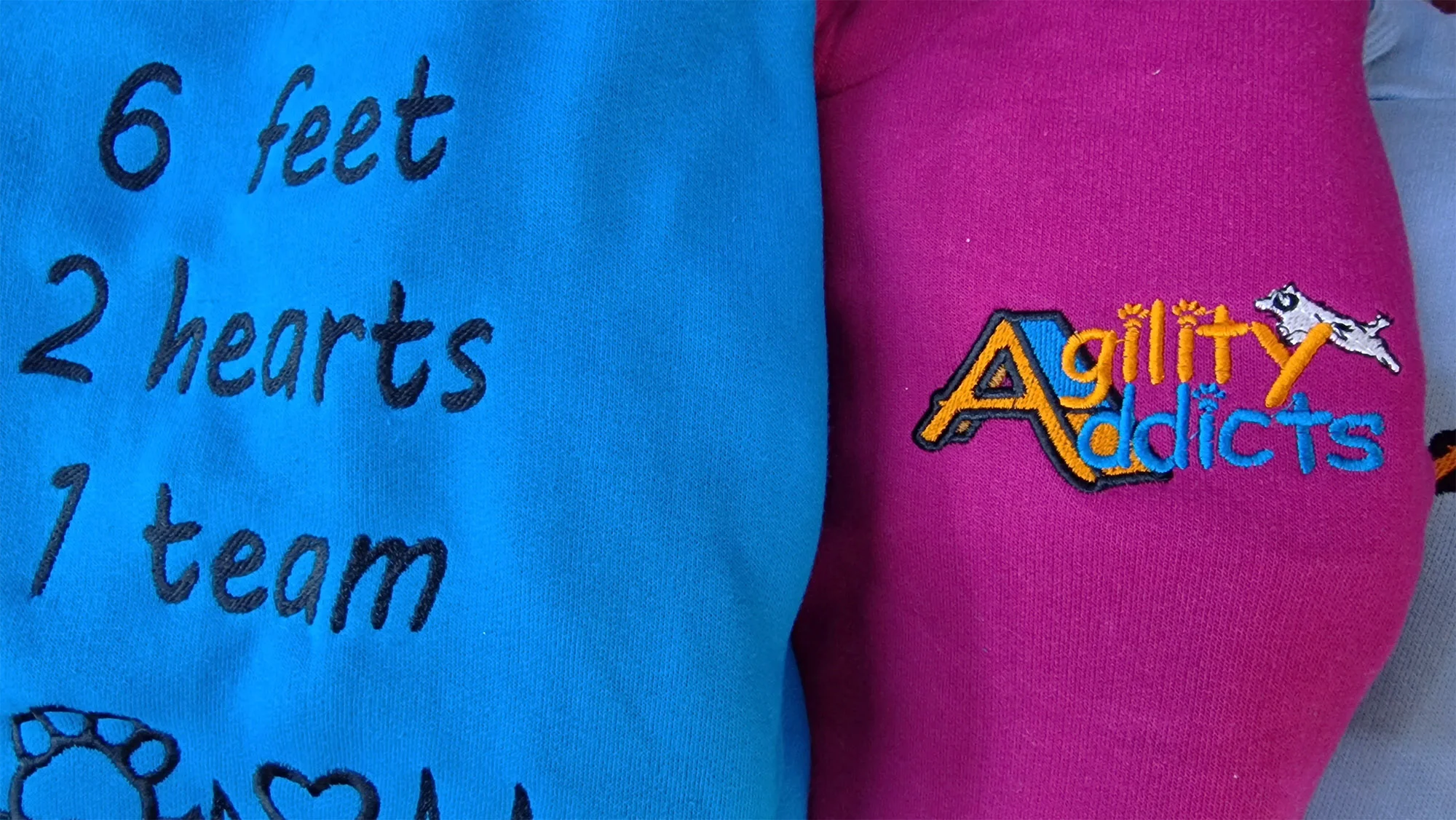 Agility Addicts - Image 2