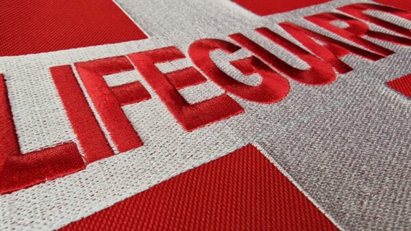 Lifeguard - Image 2