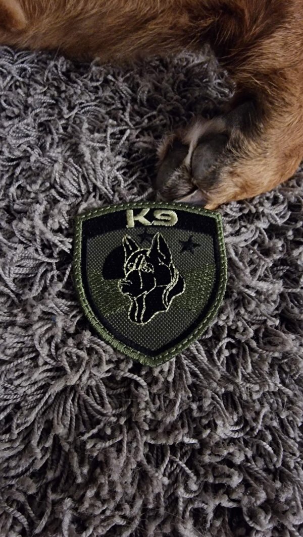 K9 Χαμηλής Ορατότητας - Image 2